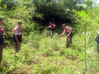 Jandarma’dan uyuşturucuya geçit yok