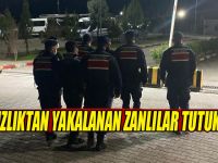 Hırsızlıktan yakalanan zanlılar tutuklandı