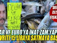 Dolar ve Euro’ya inat zam yapmadı istavriti 15 liraya satmaya başladı