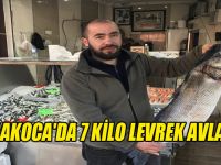 7 kilo levrek avlandı