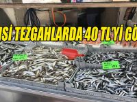 Hamsi tezgahlarda 40 TL’yi gördü