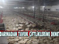 Jandarmadan tavuk çiftliklerine denetim