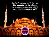 Düzce Taşıyıcılar Kooperatifi