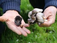 Doktorlar uyarıyor, vatandaş bildiğinden vaz geçmiyor