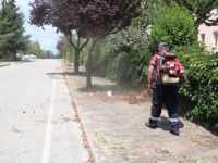 Temiz şehir Düzce hareketi karşılığını buluyor