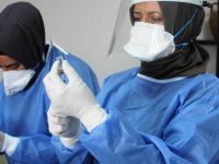 Vaka sayısı 15’e kadar düştü