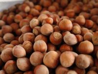 Cumhuriyet tarihine en yüksek fiyatına ulaştı