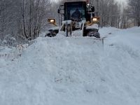Kar nedeniyle 22 köy yolu kapandı
