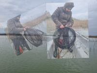 Kaçak avcıların kasnaklarına el konuldu