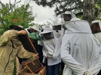 Özel Çocuklara Arıcılık