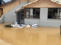 Türkiye'de en çok yağmur oraya yağdı