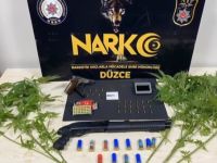 Saksıda çiçek yerine bakın ne yetiştiriyor