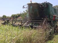 BELTUR üretiyor, işliyor ve kullanıyor