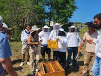 DAGEM İLE DÜNYAYA TANITILIYOR