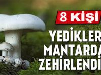 YEDİKLERİ MANTAR ZEHİR OLDU
