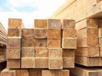 9 BİN TON İHRAÇ EDİLDİ