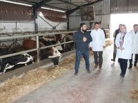 Başarı İş  adamının yatırımını inceledi