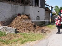 Larva ve sinekle mücadele sürüyor