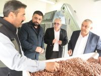 Fındık katma değeri yüksek ürün haline gelecek