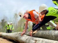 Ormanda iş güvenliği tatbikatı yapıldı