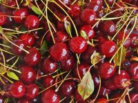 Vişnenin faydaları nelerdir? Vişne neye iyi gelir?