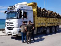 Orman emvali taşıyan araçlar kontrol edildi