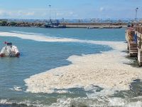 Müsilaj olmadığı açıklandı