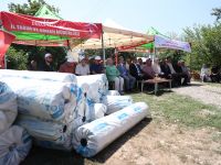 Seralar yenilenecek eski seralar ekonomiye kazandırılacak