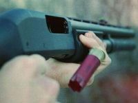 Büyükbaş hayvanına zarar veren köpeği öldürdü