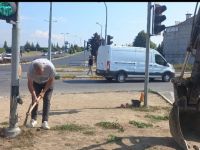 Uluslararası standartların üstünde araç geçiyor