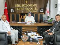 Kamu-Sanayi İşbirliği