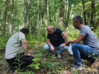 Düzce'de gençlik bakım sahaları kontrol edildi