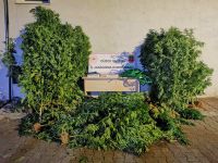 Uyuşturucudan 6 kişi tutuklandı, 44 şahıs hakkında işlem yapıldı