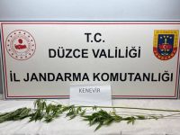 Jandarma’dan uyuşturucu operasyonu