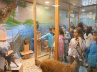 İlkokul öğrencileri doğayla buluştu