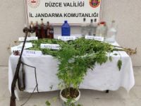 Düzce'de 86 şahsa uyuşturucudan işlem yapıldı