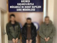 Kamyon kasasında 14 düzensiz göçmen yakalandı