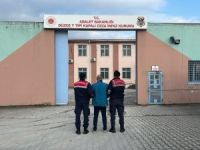 Düzce’de 22 bin 790 kişi sorgulandı