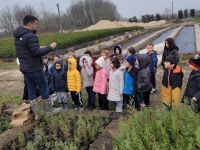 Minik eller büyük ormanlar oluşturmak için çalıştı