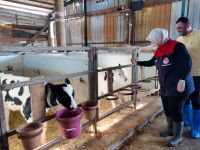 Düzce’de ari işletme sayısı artıyor