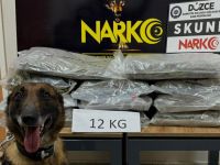 Kilolarca uyuşturucu ele geçirildi