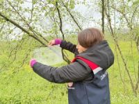 Fındık bahçelerinde takip başladı