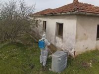 Kahverengi Kokarcayla mücadele sürüyor