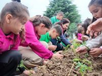 Minik elleriyle fideleri toprakla buluşturdular