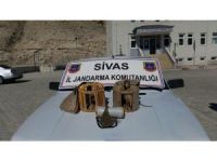 Gürün’de Kaçak Avcılar Suçüstü Yakalandı