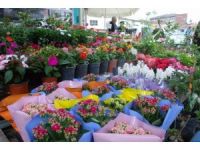 İlkbaharla Birlikte Çiçekler Görücüye Çıktı