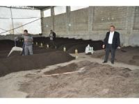 Adanalı Üç Girişimci Solucandan Organik Gübre Üretiyor