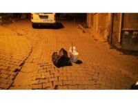 Tekirdağ’da Afiş Paniği