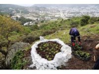 Bodrum Belediyesi Tarihine Sahip Çıkıyor