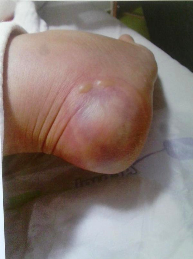 1-20181213211933.jpg 1-20181213211933.jpg